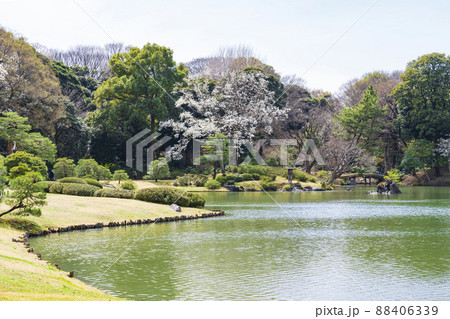【東京都】早春の六義園 【東京都】早春の六義園 88406339