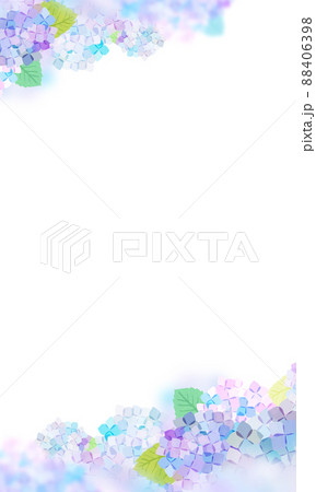 紫陽花の季節 背景素材のイラスト素材