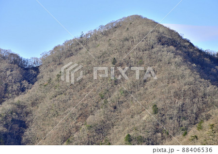 西丹沢の善六山山頂から畦ヶ丸を望む 西丹沢の善六山山頂から畦ヶ丸を望む 88406536