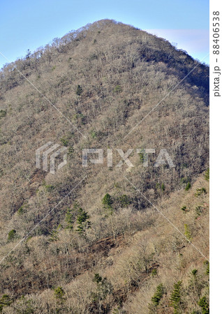 西丹沢の善六山山頂から畦ヶ丸を望む 88406538