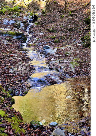 丹沢の畦ヶ丸　大滝沢コースのステタロー沢 88406564