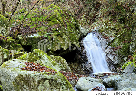 丹沢の渓流 西丹沢の西沢 小滝 丹沢の渓流 西丹沢の西沢 小滝 88406780