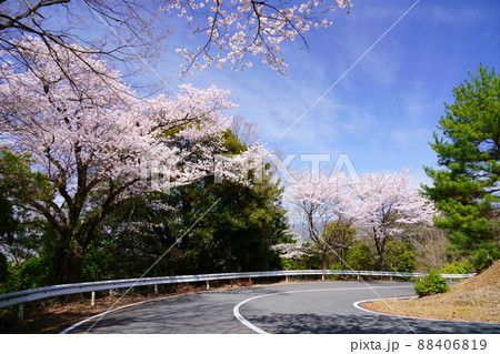 桜満開宣言の日の奈良奥山ドライブウエイ 桜満開宣言の日の奈良奥山ドライブウエイ 88406819