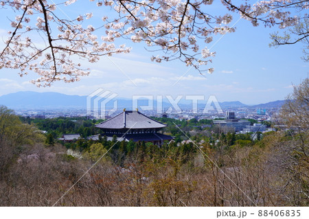 桜満開宣言の日の東大寺と興福寺五重塔 88406835