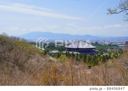 桜満開宣言の日の東大寺と興福寺五重塔 桜満開宣言の日の東大寺と興福寺五重塔 88406847