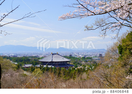 桜満開宣言の日の東大寺と興福寺五重塔 桜満開宣言の日の東大寺と興福寺五重塔 88406848