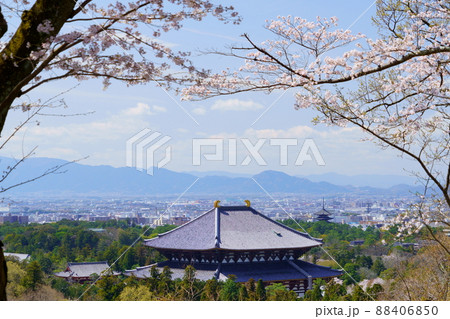 桜満開宣言の日の東大寺と興福寺五重塔 88406850