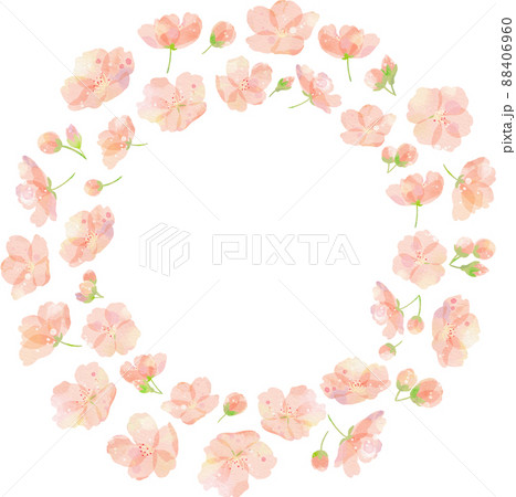 桜の花びらが舞うイラストのイラスト素材