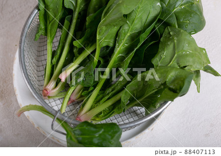 Spinach ingredient in a green cocktail detoxification. 88407113