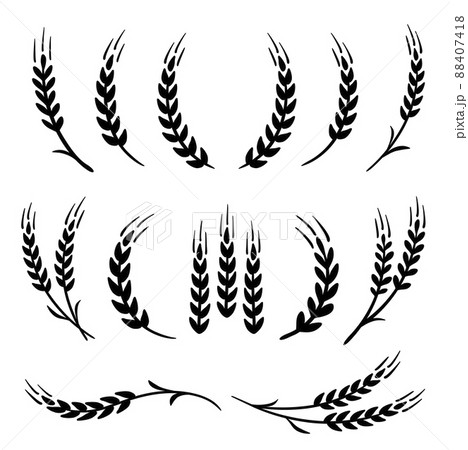 wheat and barley, rye stalks set icons 88407418