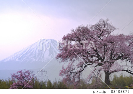 韮崎市神山町、わに塚の桜と富士山 韮崎市神山町、わに塚の桜と富士山 88408375