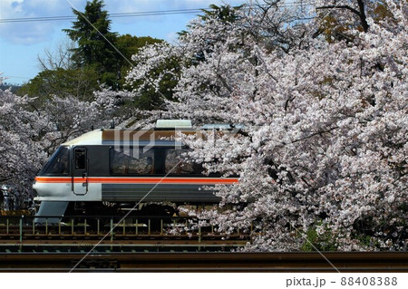 満開の桜の中を行く特急ひだ号 満開の桜の中を行く特急ひだ号 88408388