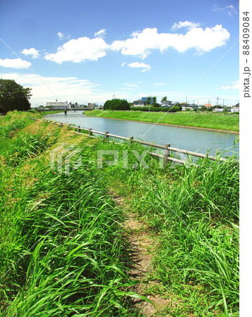 真夏の坂川放水路と夏草繁る土手風景 88409084