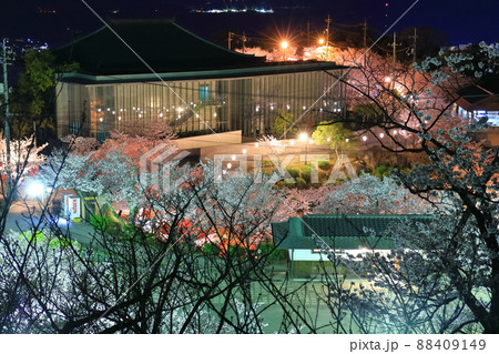 【広島県】千光寺公園の夜桜（尾道） 88409149