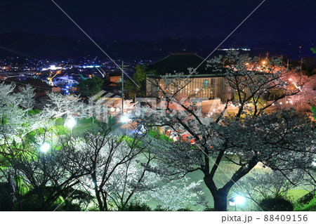 【広島県】千光寺公園の夜桜(尾道) 【広島県】千光寺公園の夜桜(尾道) 88409156