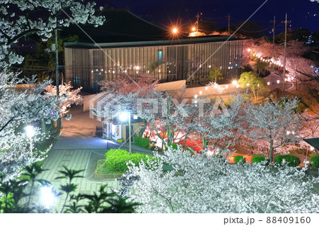 【広島県】千光寺公園の夜桜（尾道） 88409160