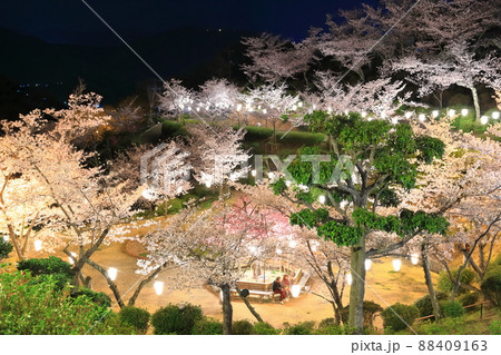 【広島県】千光寺公園の夜桜（尾道） 88409163
