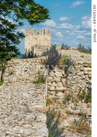 Belgrade Fortress in Kalemegdan park in Belgrade, capital of Serbia 88409190