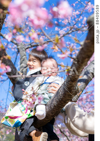 家族写真 花見 家族写真 花見 88409589
