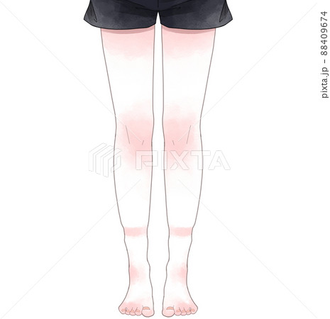 水太りした女性の脚 88409674