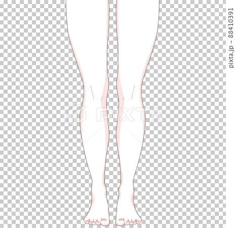 Muscled legs 88410391