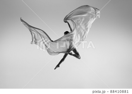 Black and white portrait of graceful ballerina dancing with fabric, cloth isolated on grey studio background. Grace, art, beauty concept. Weightless, flexible. 88410881