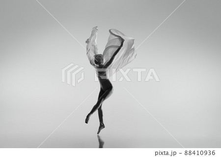 Black and white portrait of graceful ballerina dancing with fabric, cloth isolated on grey studio background. Grace, art, beauty concept. Weightless, flexible. Black and white portrait of graceful ballerina dancing with fabric, cloth isolated on grey studio background. Grace, art, beauty concept. Weightless, flexible. 88410936