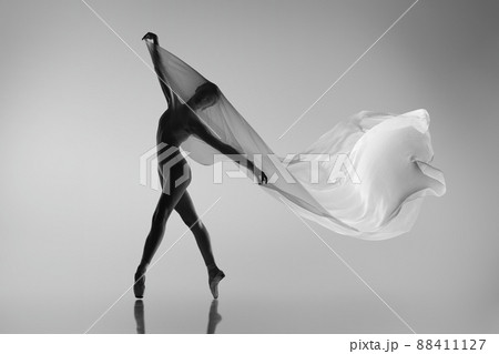 Black and white portrait of graceful ballerina dancing with fabric, cloth isolated on grey studio background. Grace, art, beauty concept. Weightless, flexible. Black and white portrait of graceful ballerina dancing with fabric, cloth isolated on grey studio background. Grace, art, beauty concept. Weightless, flexible. 88411127