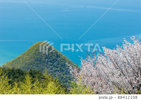 春の観音寺 88412108