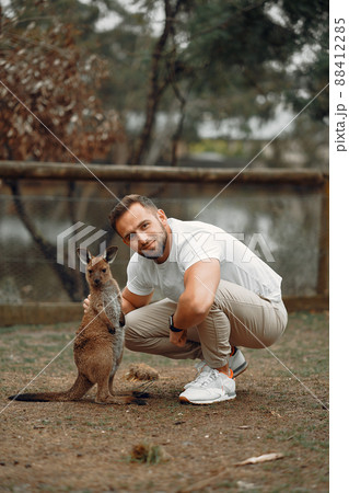 man at the reserve in Australia playing and feeding kangaroos 88412285