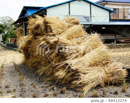 農家の藁束 農家の藁束 88413274