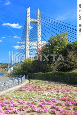 【愛媛県】晴天下の生名橋（ゆめしま海道） 88414186