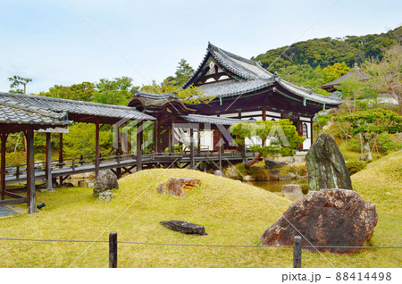 3月に秀吉と北政所を祀る京都市高台寺に参る 3月に秀吉と北政所を祀る京都市高台寺に参る 88414498