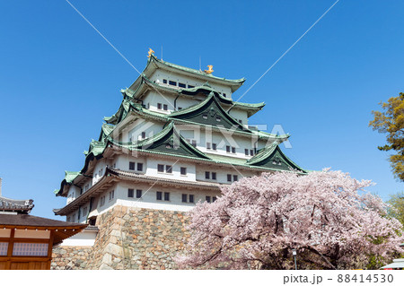 春の名古屋城・2022年 88414530