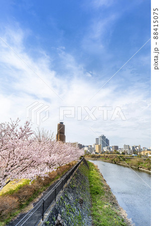 桜満開の春、静岡県浜松市中心部アクトタワーと馬込川 88415075
