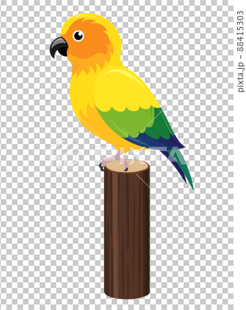 Illustration of Sun Conure on a log 88415303