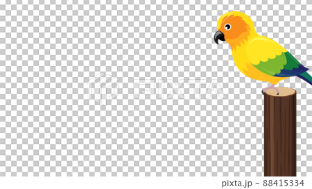 Illustration of Sun Conure on a log_frame_16: 9 88415334