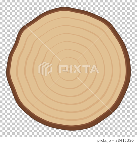 Illustration of cross section of log_circle Illustration of cross section of log_circle 88415350