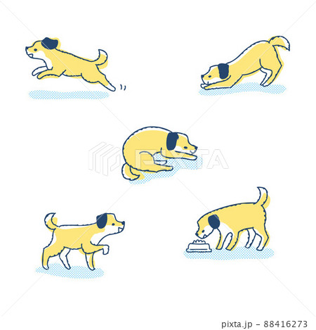 さまざまなポーズの犬　バリエーション　セット 88416273