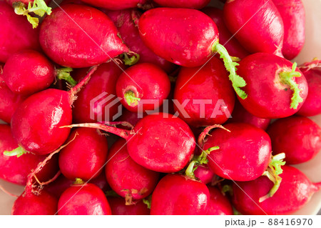appetizing crispy radishes on wooden table 88416970