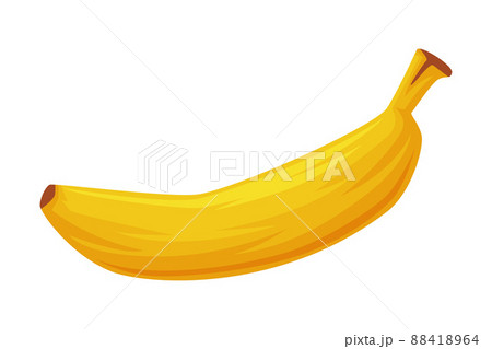 Banana as Thailand Symbol and Famous Tropical Fruit Vector Illustration Banana as Thailand Symbol and Famous Tropical Fruit Vector Illustration 88418964