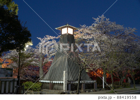 大垣市の水門川の船町港跡の住吉灯台と夜桜 88419558
