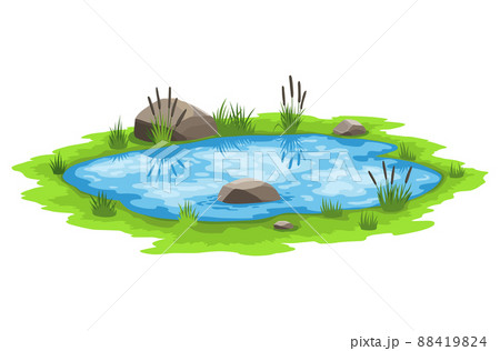 Picturesque natural pond. Blue water pond with reeds and stones. Concept of outdoor scene. Open small swamp lake. Countryside landscape 88419824