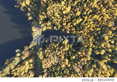 Rural road next to lake 88420848