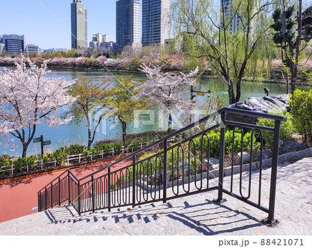 桜 階段 公園 88421071