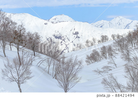 【奥只見丸山スキー場 】(魚沼市) 春スキーシーズン 【奥只見丸山スキー場 】(魚沼市) 春スキーシーズン 88421494