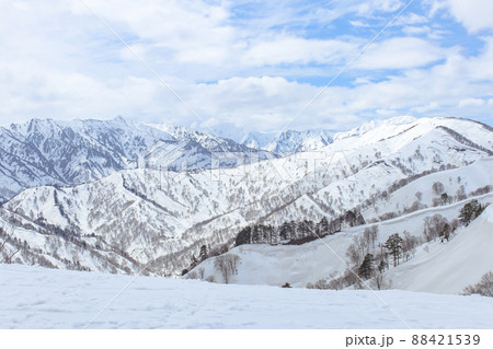 【奥只見丸山スキー場 】(魚沼市) 春スキーシーズン 【奥只見丸山スキー場 】(魚沼市) 春スキーシーズン 88421539
