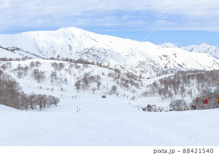 【奥只見丸山スキー場 】(魚沼市)　春スキーシーズン 88421540