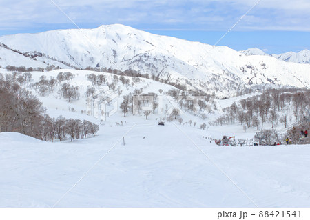 【奥只見丸山スキー場 】(魚沼市)　春スキーシーズン 88421541