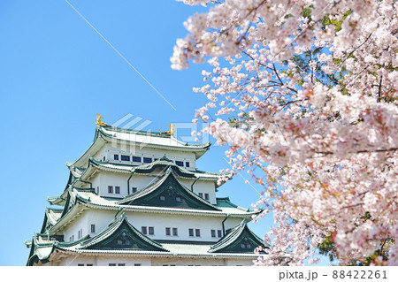 春の名古屋城 春の名古屋城 88422261
